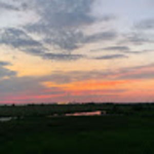 Meet your Posher, Abigail